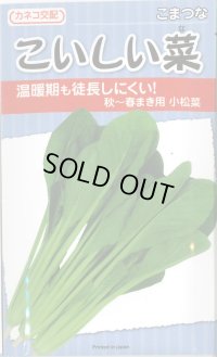 送料無料　[小松菜]　こいしい菜　20ml　カネコ種苗（株）