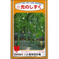 [キュウリ]　送料無料！光のしずく　　350粒　（株）ときわ研究場