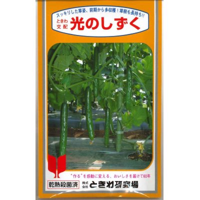 画像1: [キュウリ]　送料無料！光のしずく　　350粒　（株）ときわ研究場