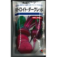 [その他]　食用ビーツ　デトロイト・ダークレッド　1ｄｌ　タキイ種苗（株）