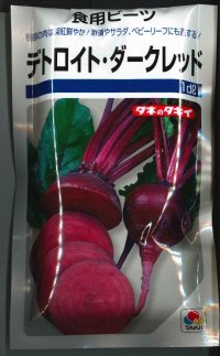 [その他]　食用ビーツ　デトロイト・ダークレッド　1ｄｌ　タキイ交配