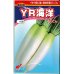 画像1: [大根]　送料無料！　YR海洋　10000粒　渡辺交配 (1)