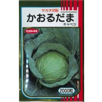 送料無料　[キャベツ]　かおるだま　2000粒　（株）サカタのタネ
