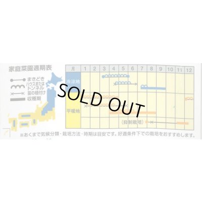 画像2: 送料無料　[かぼちゃ]　特濃こふき5.6　500粒　ナント種苗(株)