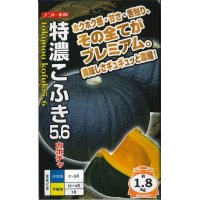 [かぼちゃ]　特濃こふき5.6　小袋（7粒入り）　ナント種苗（株）