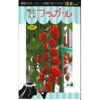 [トマト/ミニトマト]　フラガール　8粒　トキタ種苗（株）