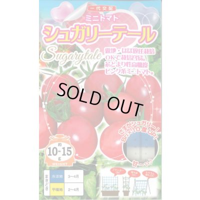 画像1: 送料無料　[トマト/ミニトマト]　シュガリーテール　15粒　ナント種苗(株)