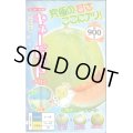 送料無料　[メロン]　キューピット　8粒　ナント種苗(株)