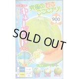 送料無料　[メロン]　キューピット　8粒　ナント種苗(株)