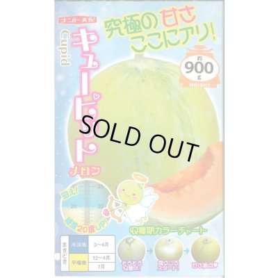 画像1: 送料無料　[メロン]　キューピット　8粒　ナント種苗(株)