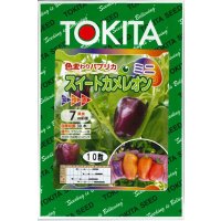 送料無料　[パプリカ]　ミニパプリカ　スイートカメレオン　10粒　トキタ種苗(株)
