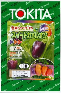 送料無料　[パプリカ]　ミニパプリカ　スイートカメレオン　10粒　トキタ種苗(株)