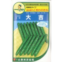[キュウリ]　大吉　20粒　　ときわ研究場