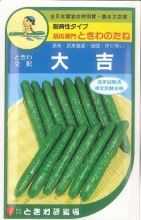 [キュウリ]　大吉　20粒　　ときわ研究場
