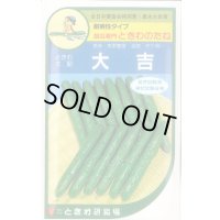 [キュウリ] 大吉 20粒 ときわ研究場