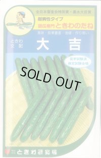 [キュウリ] 大吉 20粒 ときわ研究場