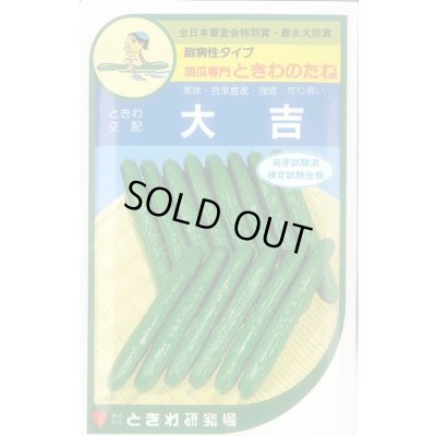 画像1: [キュウリ] 大吉 20粒 ときわ研究場