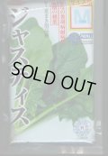 [ほうれんそう]　ジャスティス　種子サイズ　M　3万粒　（株）サカタのタネ