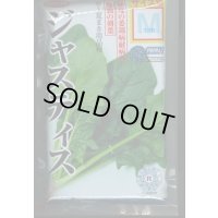[ほうれんそう]　ジャスティス　種子サイズ　M　3万粒　（株）サカタのタネ
