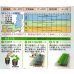 画像3: 送料無料　[かぼちゃ]　ロロン　8粒　タキイ種苗(株)　RF (3)