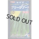 送料無料　[オクラ]　グリーンソード　1000粒　タキイ種苗(株)