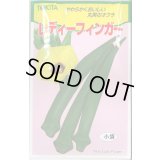 送料無料　[オクラ]　レディーフィンガー　10ml(およそ100粒)　トキタ種苗(株)