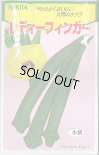 送料無料　[オクラ]　レディーフィンガー　10ml(およそ100粒)　トキタ種苗(株)