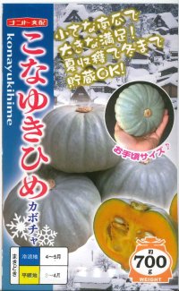 [かぼちゃ]　こなゆきひめ　6粒　ナント種苗（株）