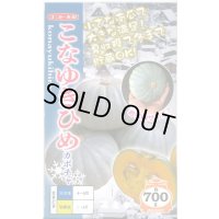 送料無料　[かぼちゃ]　こなゆきひめ　6粒　ナント種苗(株)