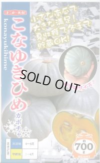 送料無料　[かぼちゃ]　こなゆきひめ　6粒　ナント種苗(株)