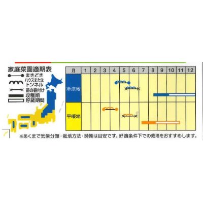 画像3: [かぼちゃ]　こなゆきひめ　100粒　ナント種苗（株）