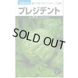 送料無料　[レタス]　プレジデント　1ml　(株)タカヤマシード
