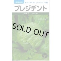送料無料　[レタス]　プレジデント　1ml　(株)タカヤマシード
