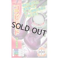 [キャベツ] コールラビ コラビレッド 60粒 ナント種苗(株)