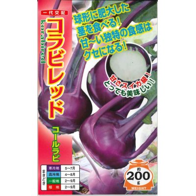 画像1: [キャベツ]　コールラビ　コラビレッド　60粒　ナント種苗（株）