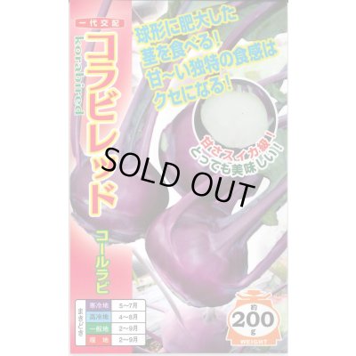 画像1: [キャベツ] コールラビ コラビレッド 60粒 ナント種苗(株)