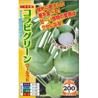 [キャベツ]　コールラビ　コラビグリーン　60粒　　ナント種苗（株）