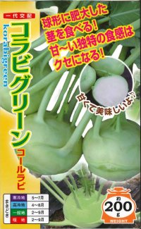 [キャベツ]　コールラビ　コラビグリーン　60粒　　ナント種苗（株）