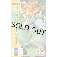 [キャベツ] コールラビ コラビグリーン 60粒 ナント種苗(株)