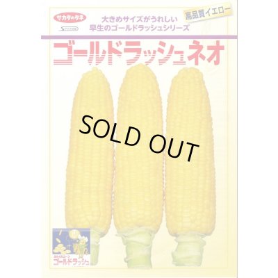 画像2: 送料無料[とうもろこし]　ゴールドラッシュネオ　2000粒　(株)サカタのタネ