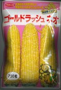 送料無料　[とうもろこし]　ゴールドラッシュネオ　200粒　(株)サカタのタネ