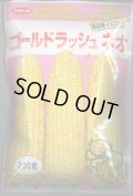 送料無料　[とうもろこし]　ゴールドラッシュネオ　200粒　(株)サカタのタネ