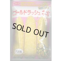 送料無料　[とうもろこし]　ゴールドラッシュネオ　200粒　(株)サカタのタネ