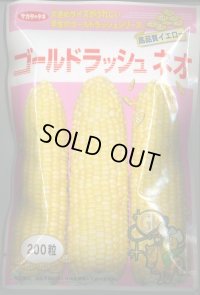 送料無料　[とうもろこし]　ゴールドラッシュネオ　200粒　(株)サカタのタネ