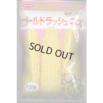 画像1: 送料無料　[とうもろこし]　ゴールドラッシュネオ　200粒　(株)サカタのタネ