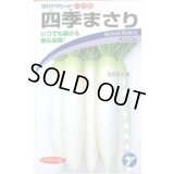 送料無料　[大根]　四季まさり　2ml　(株)タカヤマシード