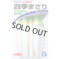 送料無料　[大根]　四季まさり　2ml　(株)タカヤマシード