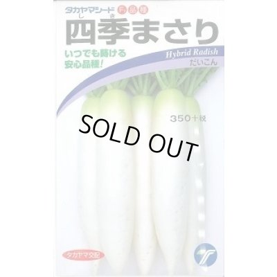 画像1: 送料無料　[大根]　四季まさり　2ml　(株)タカヤマシード