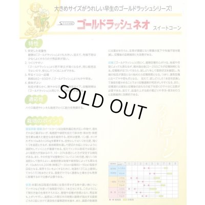 画像3: 送料無料[とうもろこし]　ゴールドラッシュネオ　2000粒　(株)サカタのタネ