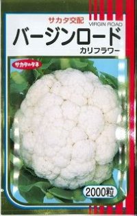 送料無料　[カリフラワー]　バージンロード　2000粒　(株)サカタのタネ